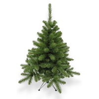 Norway Spruce 4 ft