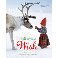 Christmas Wish by Lori Evert