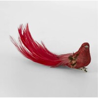 Burle  Red  Clip on Christmas Tree Bird Decoration 6 pc