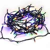 100 LED Fairy Lights - Multicolour