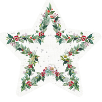 Cut our Floral Star Napkin Pk 20