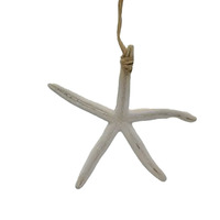 Starfish Hanging Large