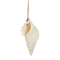 Hanging Natural Shell Decoration Byron 5cm