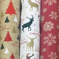 Wrapping Paper Eco 7m x 70cm