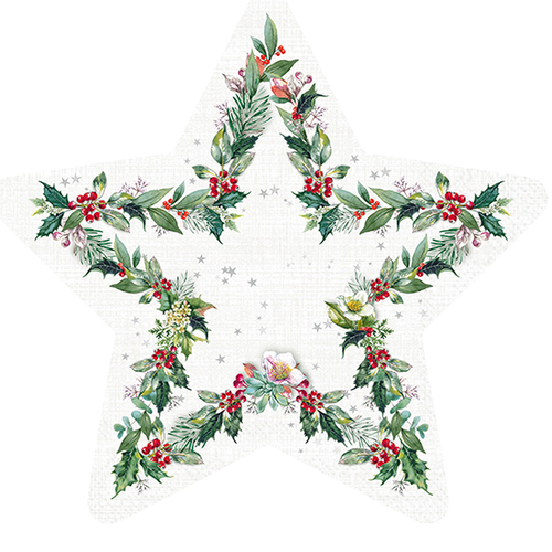 Cut our Floral Star Napkin Pk 20