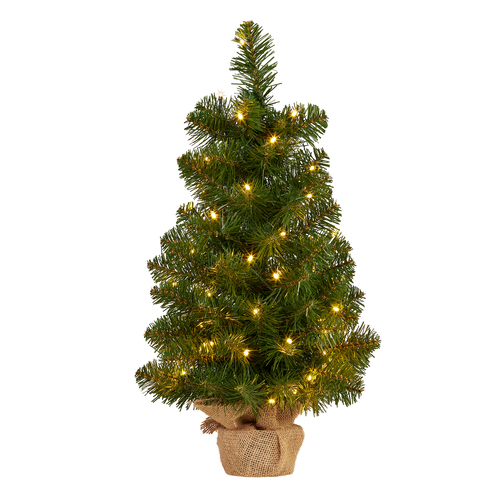 Potted Evergreen Eternal Tabletop Tree with Lights