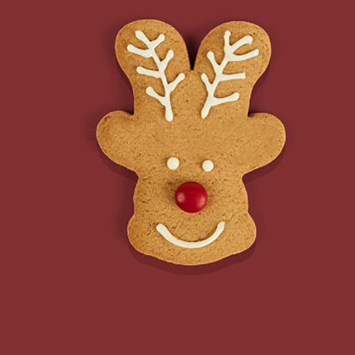 Gingerbread  Reindeer  Individual 50g